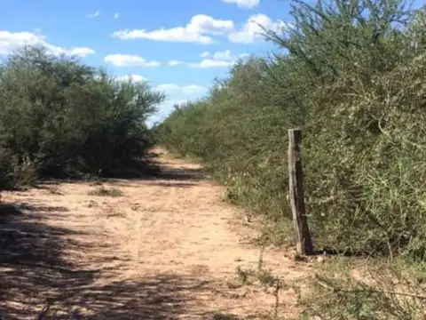 Campo en Venta Mixto