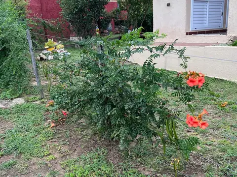 Terreno en Venta 17  mts Fondo