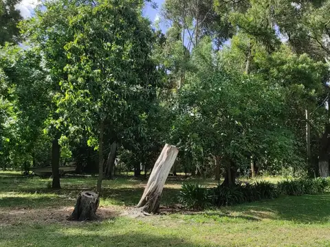 Venta Quinta Zona Abasto c/ vivienda A/ Emprendimiento