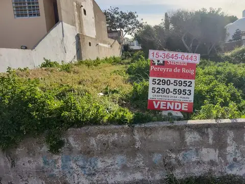 SAN CLEMENTE- LOTE DE 15 X 35 FRENTE AL MAR  