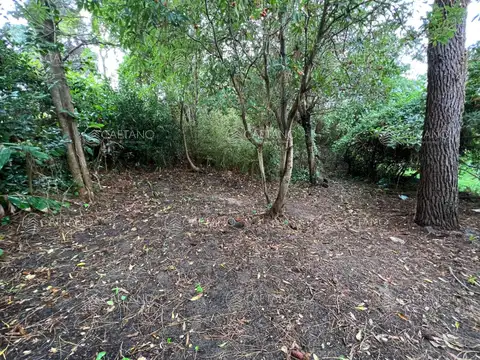 Casa en Alquiler Temporal de 1 dormitorio