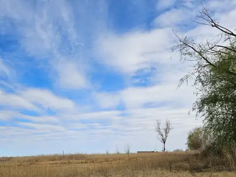 Terreno en Venta de 2310,0 m2