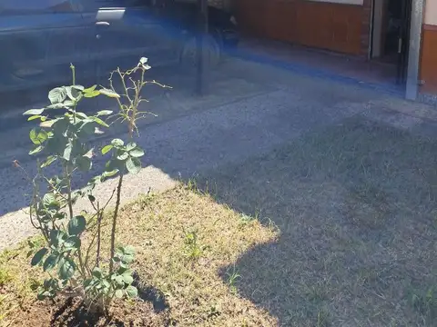 Florencio Ameghino 100