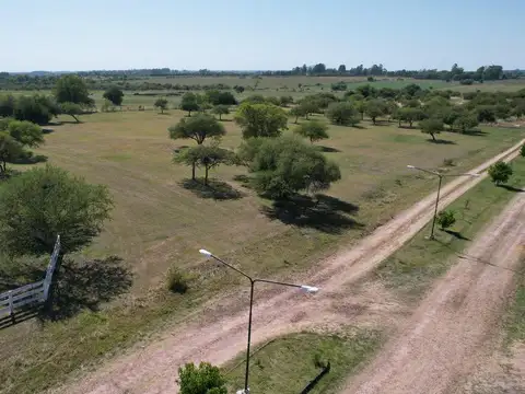 Terreno en Venta 98  mts Fondo