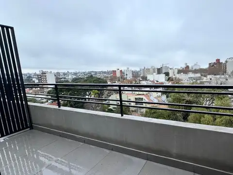 luis