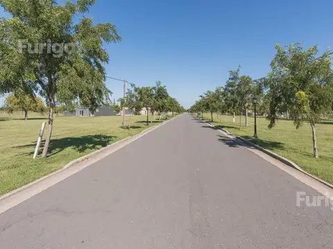 Las Pergolas - Entrega Enero 0001