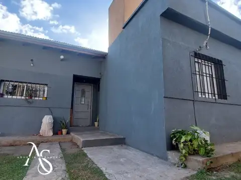 Manuel Artigas al 100