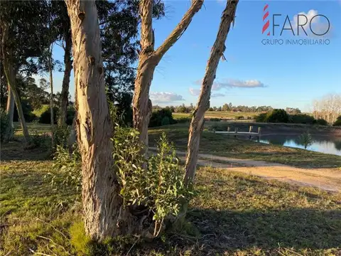 Campo en Venta de 6  ha