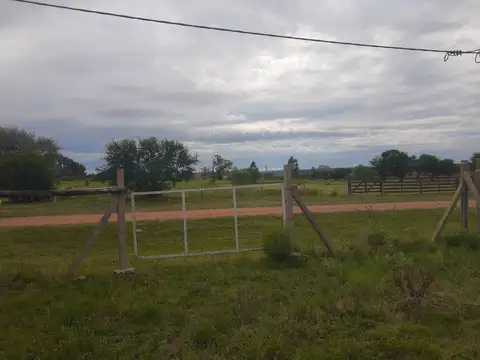 Terreno en Venta 36  mts Fondo