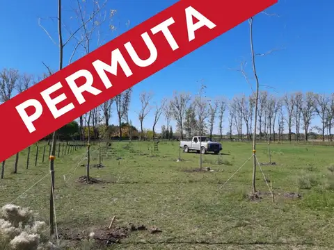 Lote 5000m2 en VENTA en El Malacate ACEPTA PERMUTA