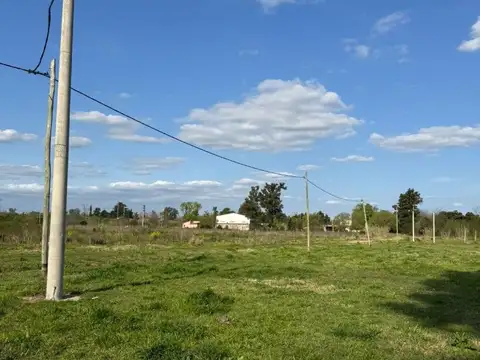 Colectora Rm5