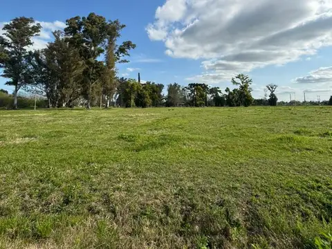 Últimos lotes de 1000 m2 en Colectora RN5