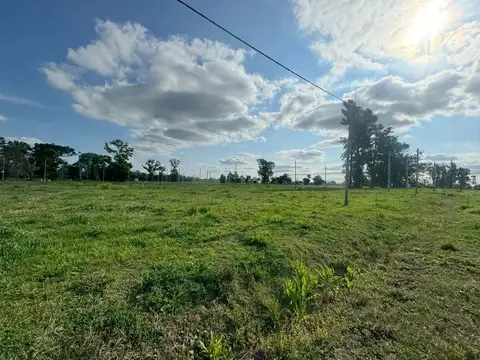 Terreno en Venta de 1000,0 m2
