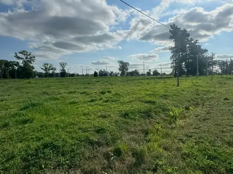 Terreno en Venta de 1000,0 m2