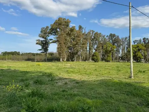 Últimos lotes de 1000 m2 en Colectora RN5
