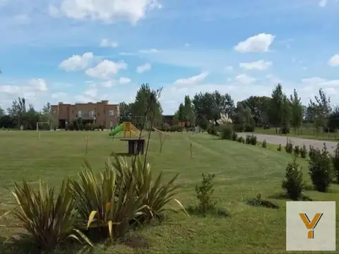 Lomas de Petion