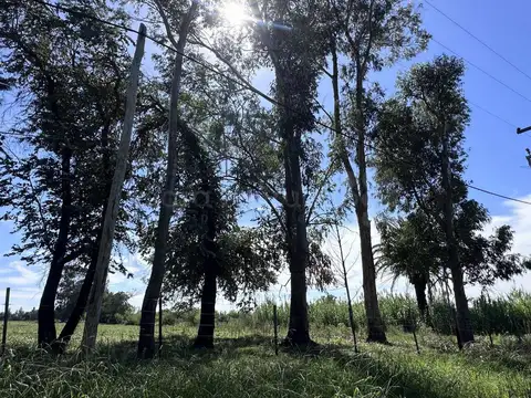Terreno en Venta 42,05  mts Frente
