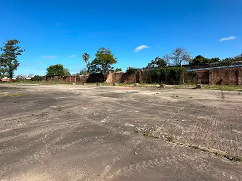 Terreno en Alquiler en Corrientes, USD 3.000