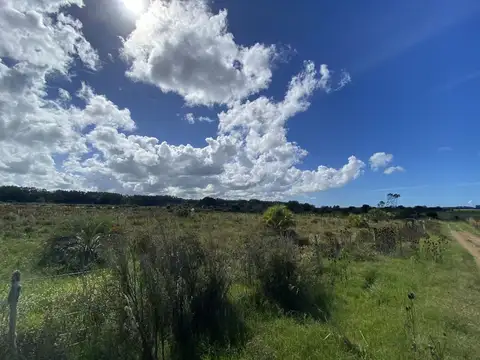 Venta Chacra  10 hectáreas Ruta 104 Manantiales