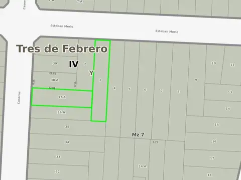 Esteban Merlos  al 4900