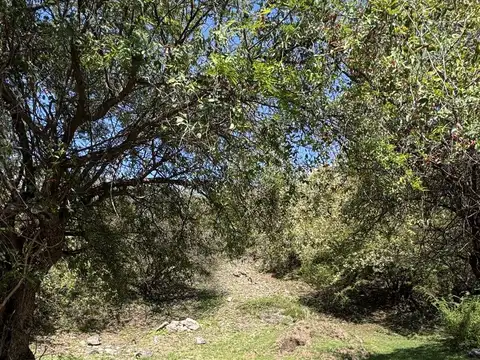 Lote en La Rufina