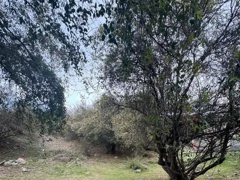 Terreno en Venta de 1129,0 m2