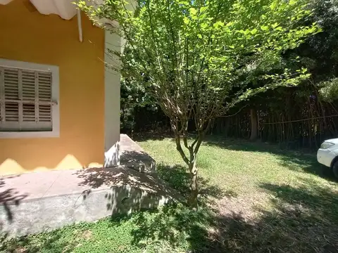 Juana Azurduy 100