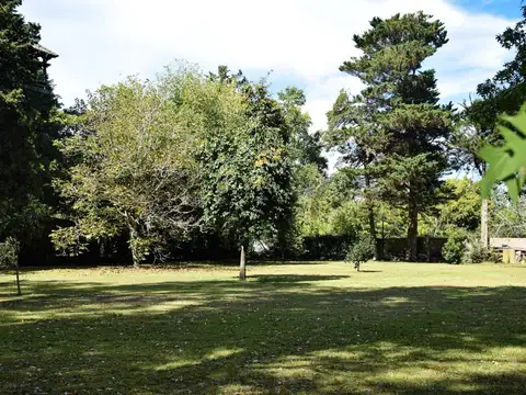 Terreno en Venta de 3000,0 m2