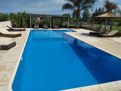 Penna-cachas Del Alba