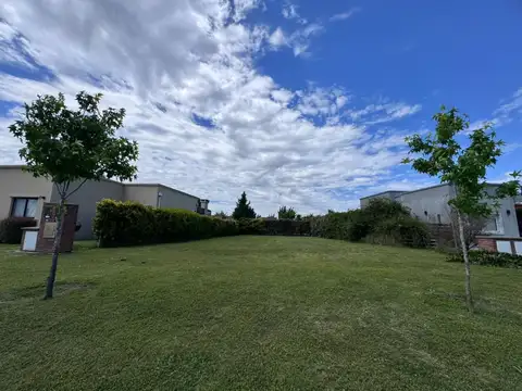 Venta de lote interno - SAN EDUARDO PILAR DEL ESTE