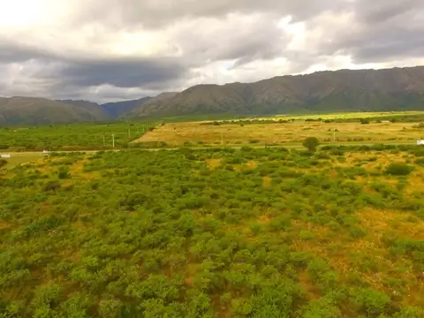 Consultar dirección