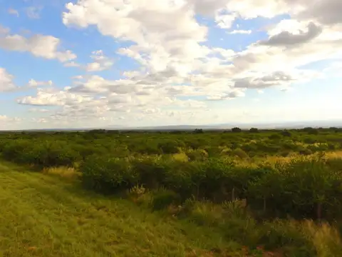 Consultar dirección