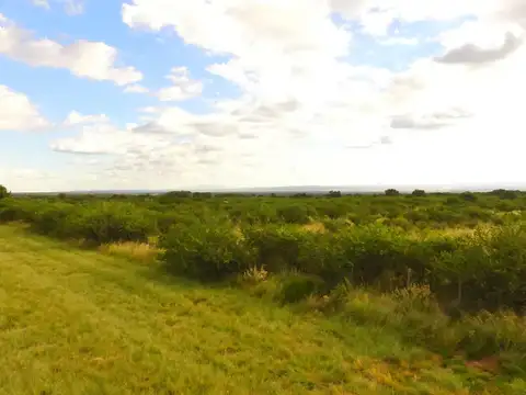 10 Hectareas sobre Ruta 1 Villa Larca