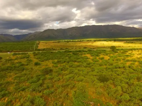 Consultar dirección