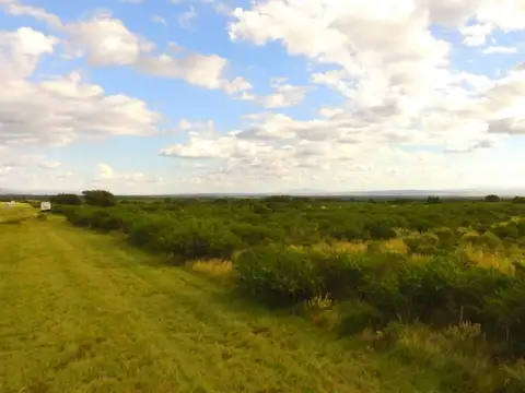 Consultar dirección