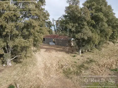 Campo en venta de 166 has en Carlos Tejedor