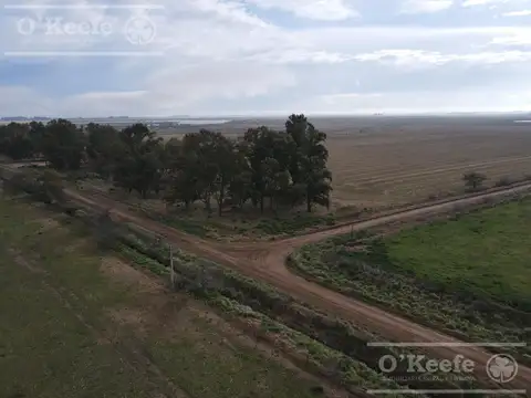 Campo en venta de 166 has en Carlos Tejedor
