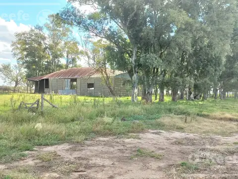 Campo en venta de 166 has en Carlos Tejedor