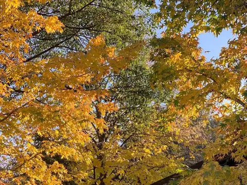 Casa en Alquiler 40 años