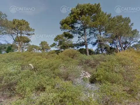 Venta terreno Chihuahua 1000 metros