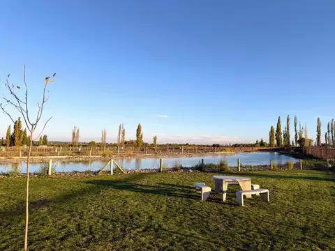 Terreno en Venta de 577,0 m2