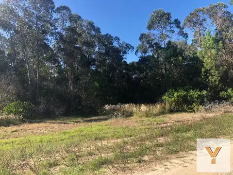 7 e/ 31 y 32