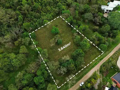 San Lorenzo. La Hoyada de Castellanos. Lote 100