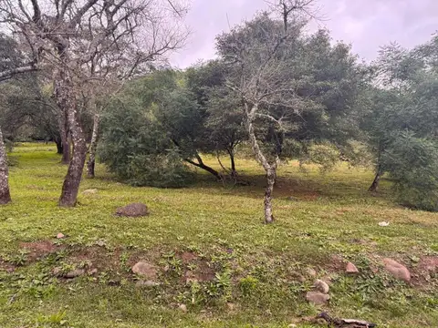 TERRENO EN VENTA EN LA HOYADA CASTELLANO 3640 M2