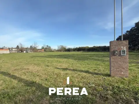 Lote Maestro Guerra