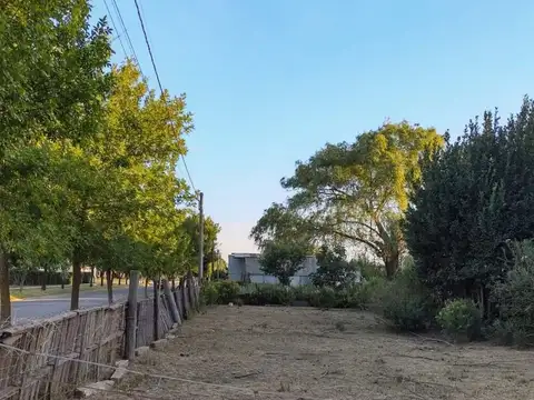 Terreno 10 x 60 mts en Carmen se vende