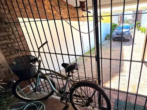 san juan 3926 100