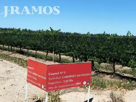 80 ha