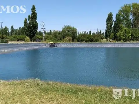 80 ha