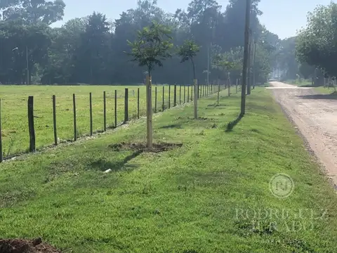 Terreno - Venta - Argentina, San Antonio de Areco